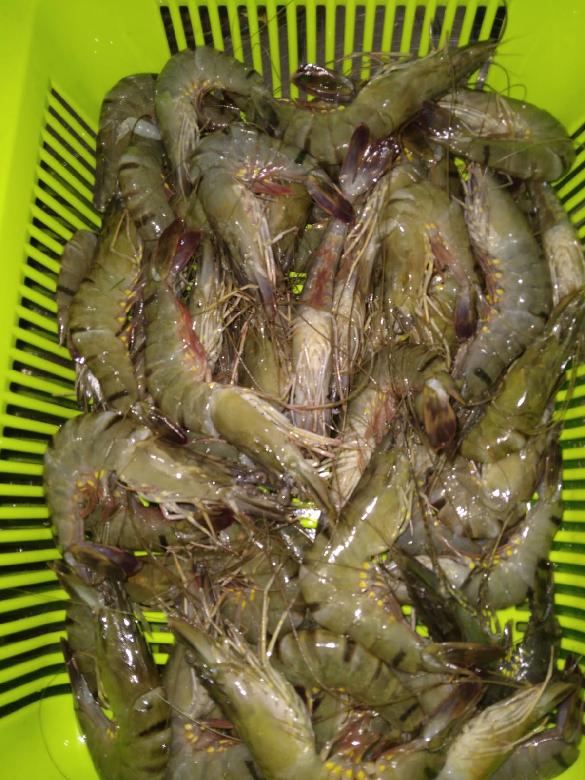 category